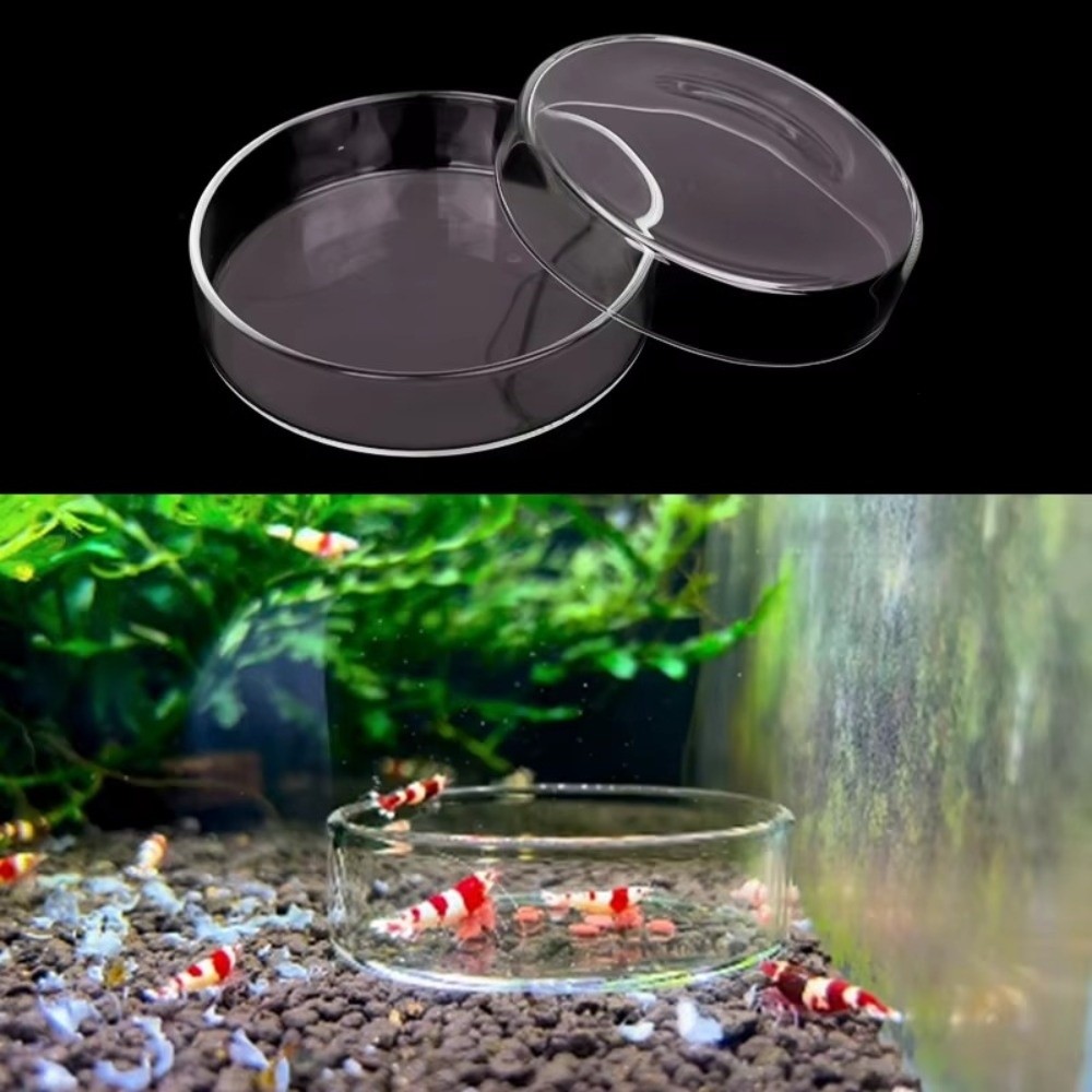 Baby Food Shrimp - Cuenco de alimentación de acuario de