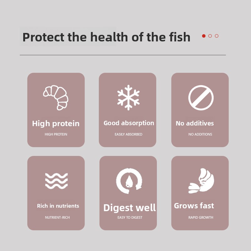 Alimento en Polvo PENISON para - Baby Food With Protein reseña y precio